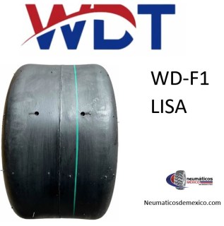WD-F1 LISA6